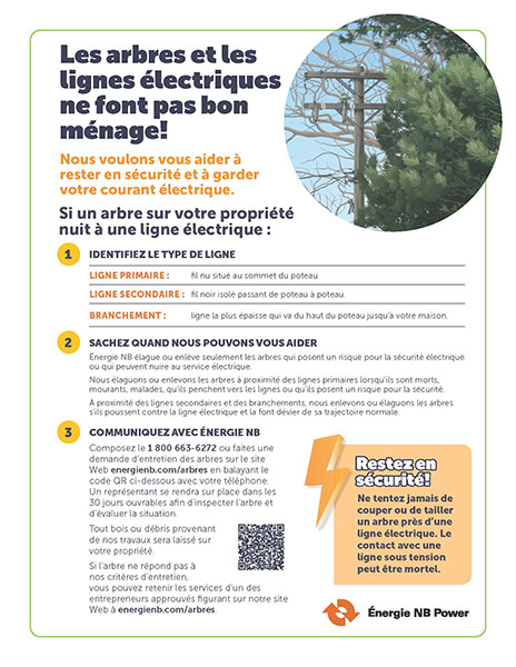 Les arbres et les lignes électriques ne font pas bon ménage!
